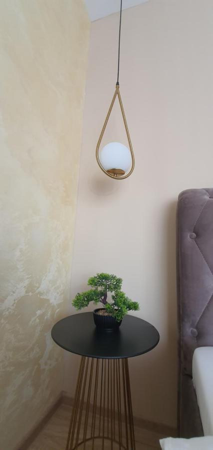 Apartment Alios Lux Брашов Экстерьер фото